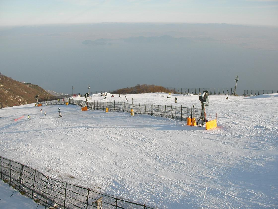 e0089227_2013332.jpg
