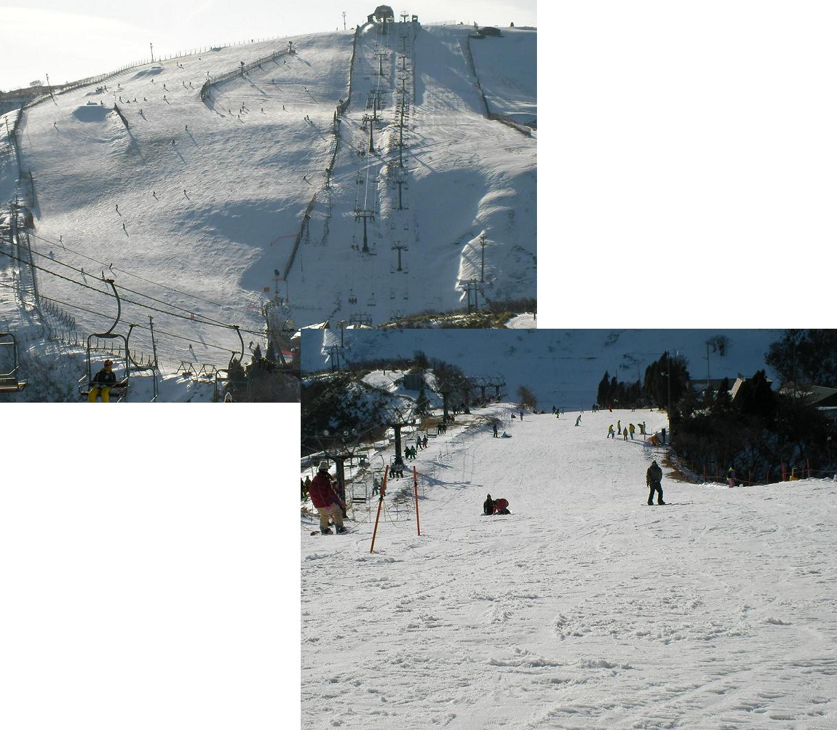 e0089227_2022260.jpg