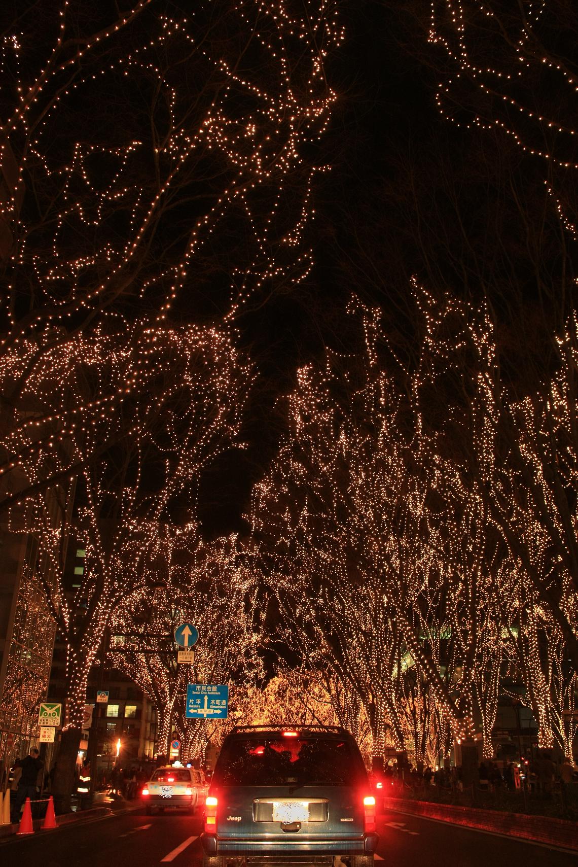 a0123331_1019.jpg
