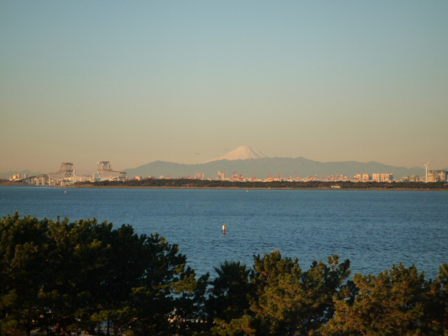 d0106440_20202495.jpg
