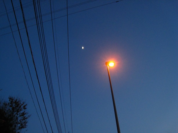 e0009147_2075192.jpg