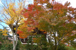 c0148548_1819189.jpg