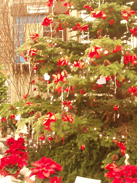 c0143650_0354194.jpg