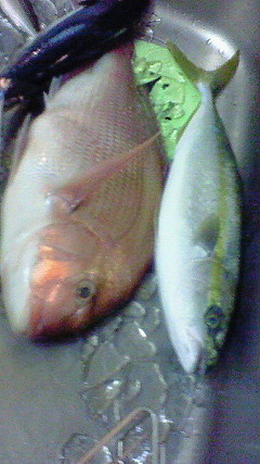 f0166551_1839445.jpg