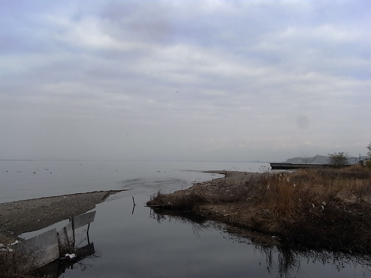 f0178153_17485.jpg