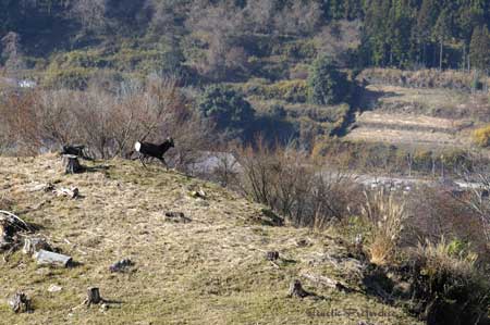 a0111162_2164962.jpg