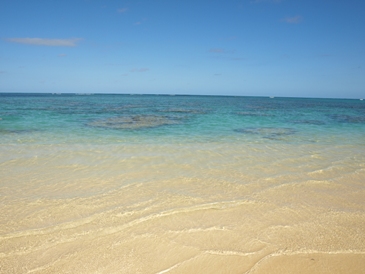 c0102268_1838888.jpg