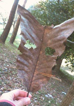 e0118274_212225100.jpg