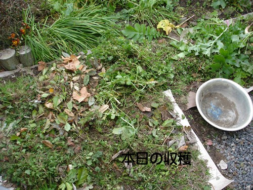 f0003174_13504762.jpg