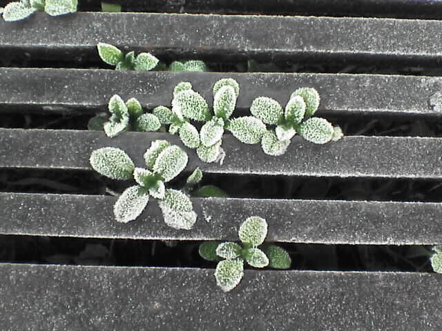 c0069380_12473490.jpg