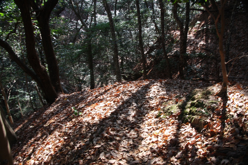 e0024081_15405244.jpg