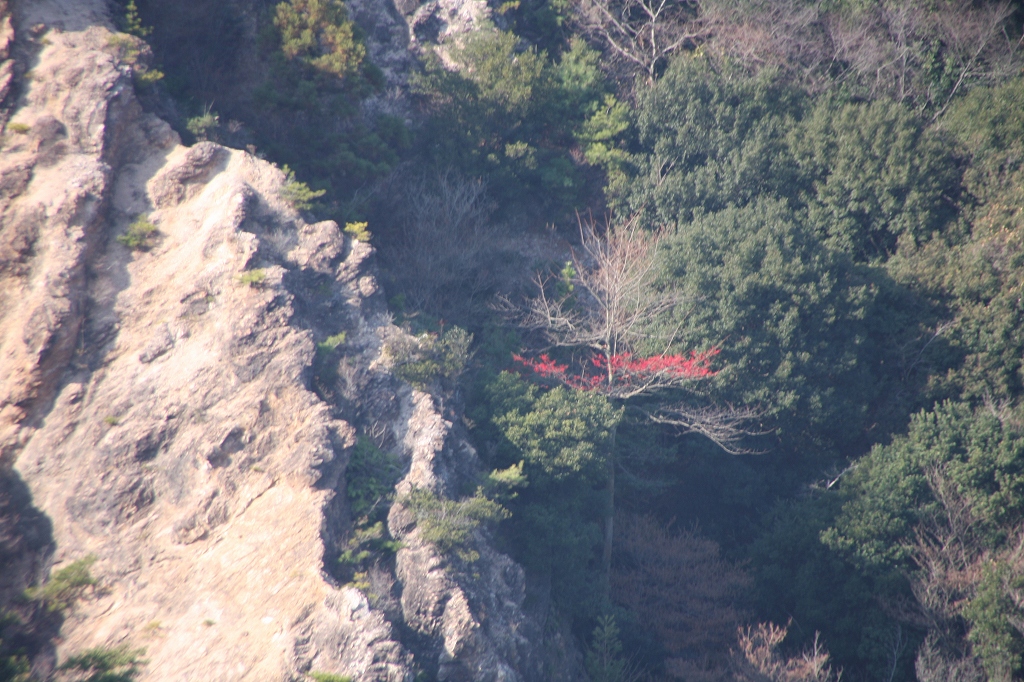 e0024081_1541322.jpg