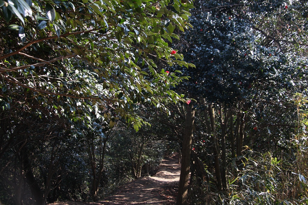 e0024081_15414687.jpg