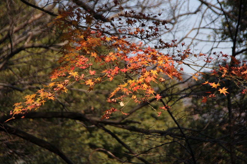 e0024081_15422451.jpg
