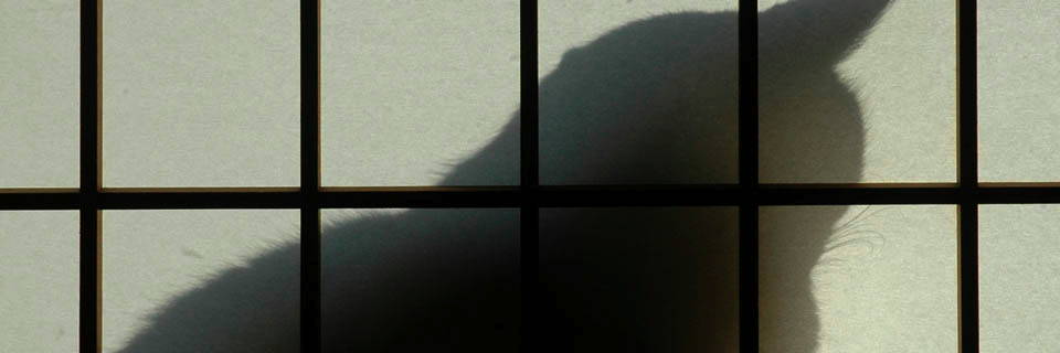 c0170789_12475546.jpg