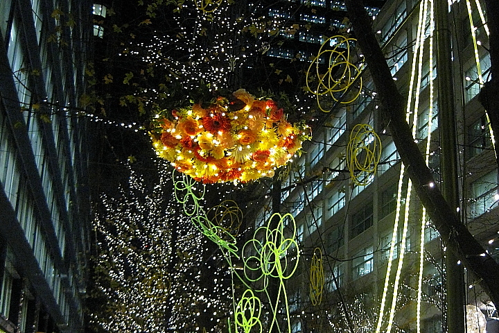 f0164989_0183593.jpg