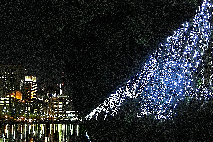 f0164989_0194762.jpg