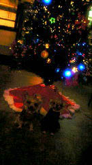 c0186393_12344499.jpg