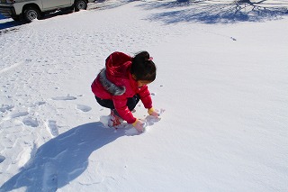 f0176194_7134378.jpg