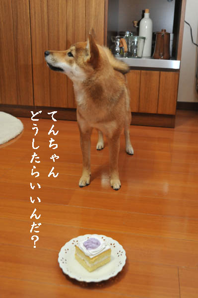 b0141397_1055547.jpg