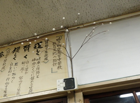 a0138198_1753335.jpg