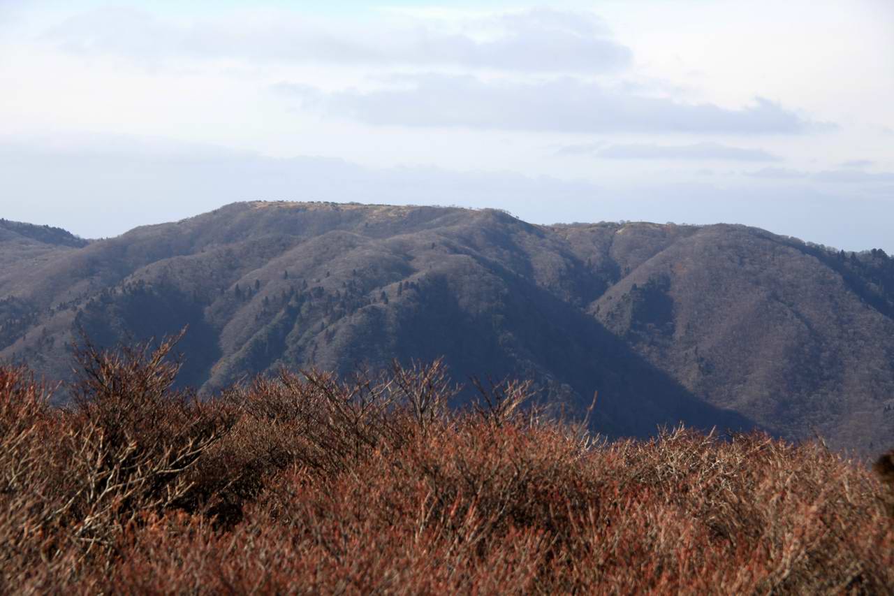 e0110500_1115090.jpg