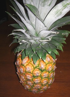 c0125501_6135449.jpg