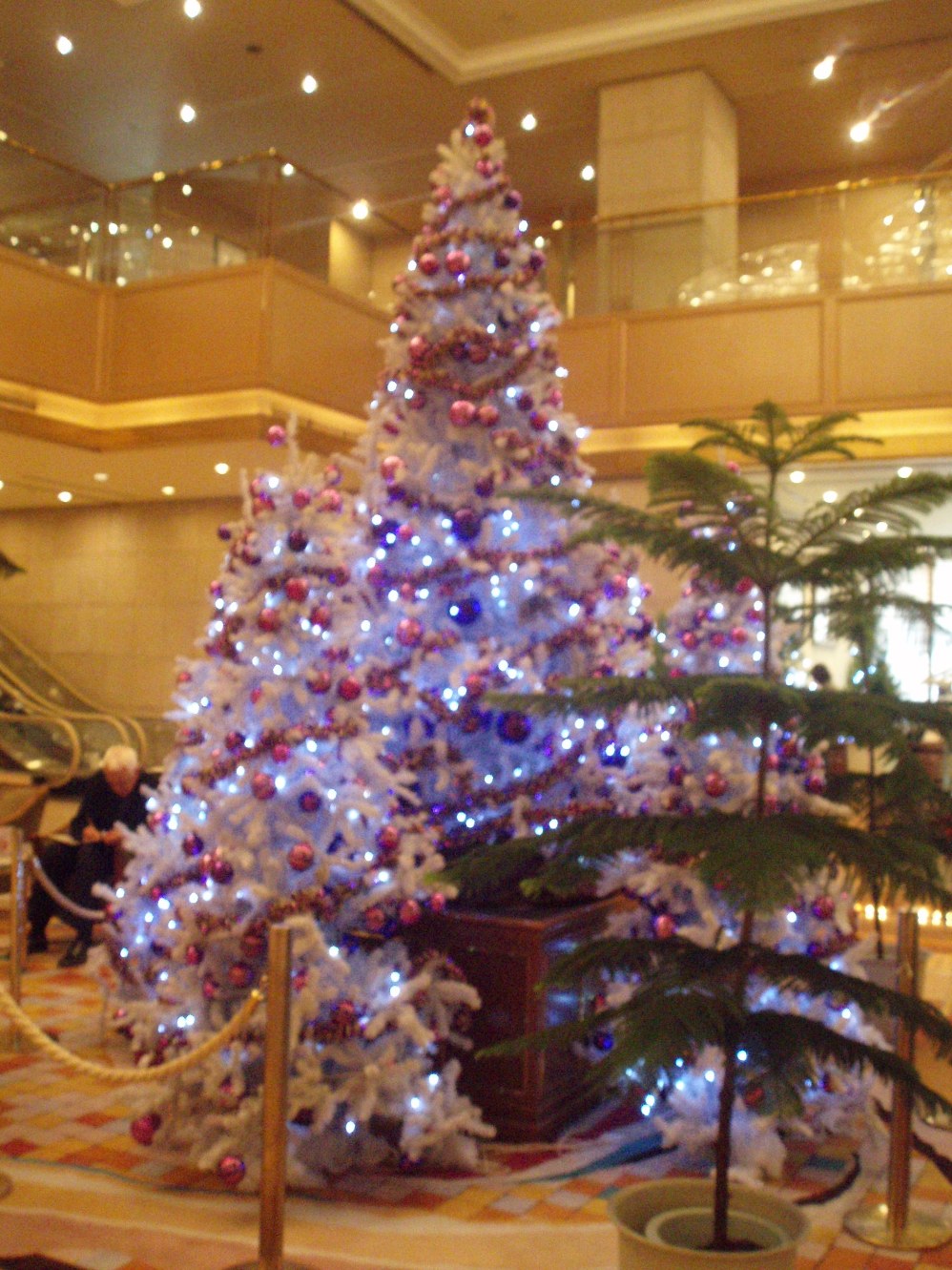 c0098304_1819785.jpg