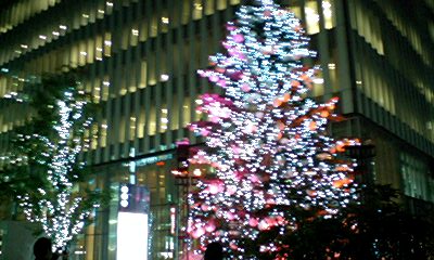 d0054704_10201510.jpg