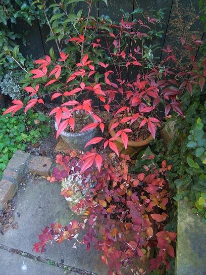 f0065604_2112137.jpg