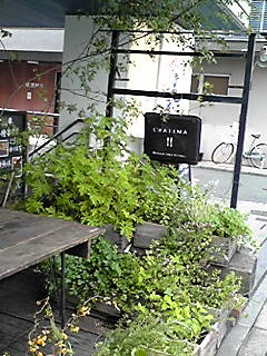 a0067806_16343212.jpg