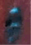 e0103408_12243416.gif