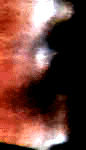 e0103408_12245749.gif
