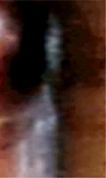 e0103408_1224778.gif