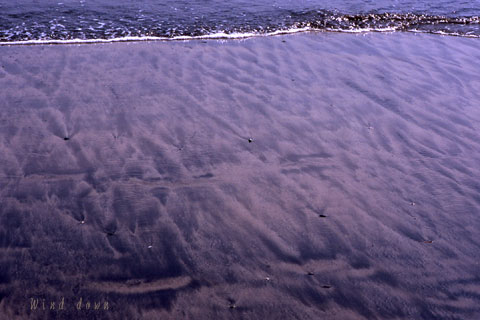 a0021110_1564234.jpg