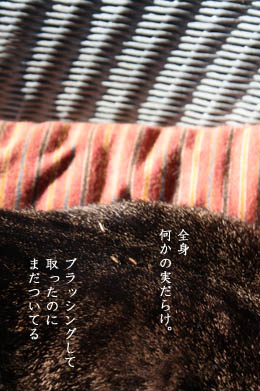 e0156015_13245692.jpg