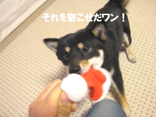 c0185516_1051497.jpg