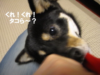 c0185516_1052063.jpg