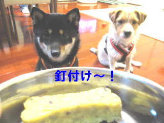 c0185516_1265126.jpg