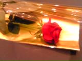 a0052621_015555.jpg