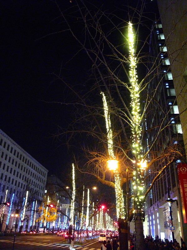 f0031423_8313357.jpg