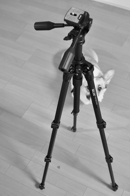 e0189633_2235446.jpg