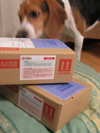 c0191336_21311730.jpg