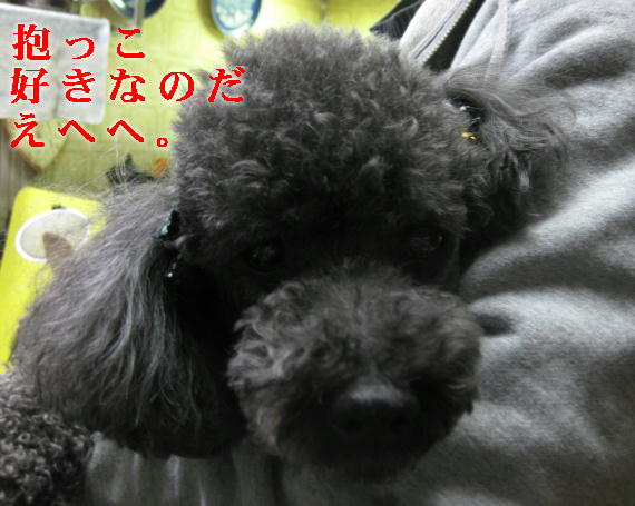 c0117239_7341538.jpg