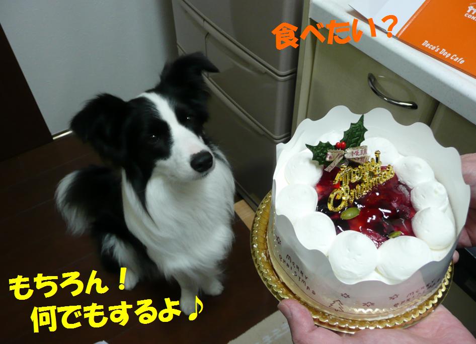 c0147241_14114980.jpg