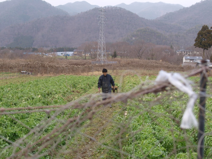 c0072843_17295232.jpg