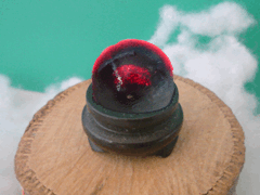 e0005548_13463310.gif