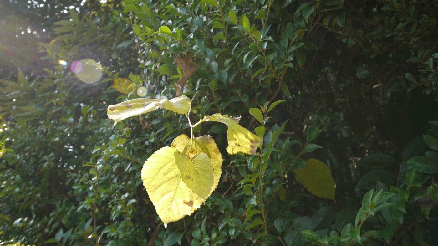 a0063552_14331922.jpg