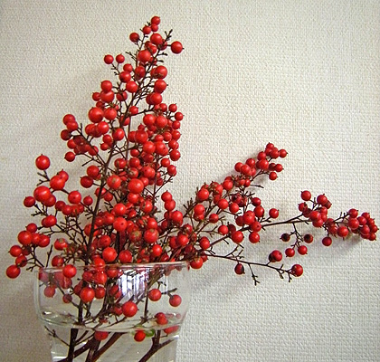 a0001354_20405499.jpg
