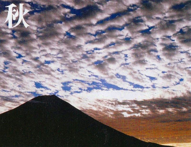 c0119160_9132031.jpg